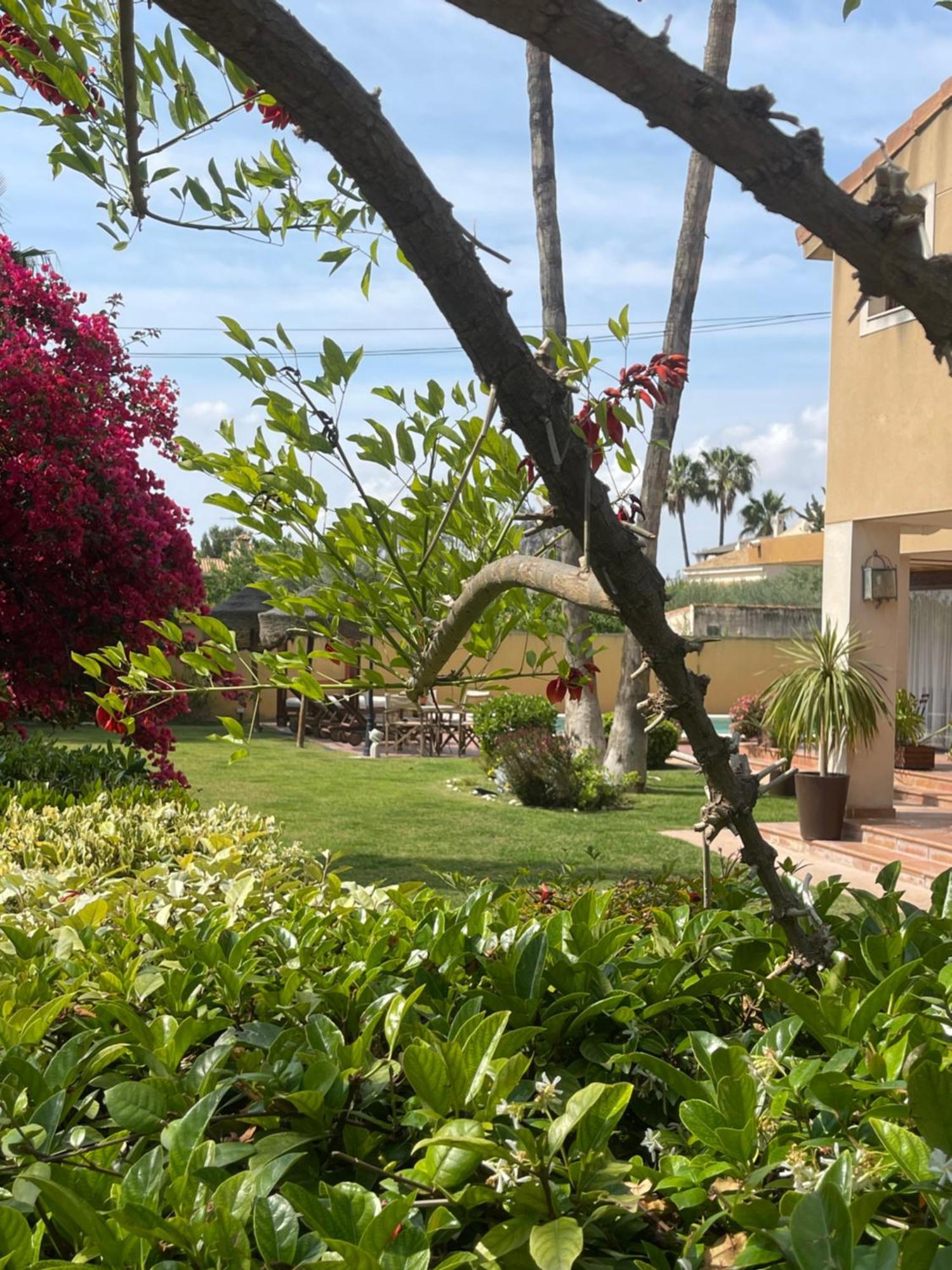 Hébergement de vacances ***chalet Alicante*** Experiencia Unica