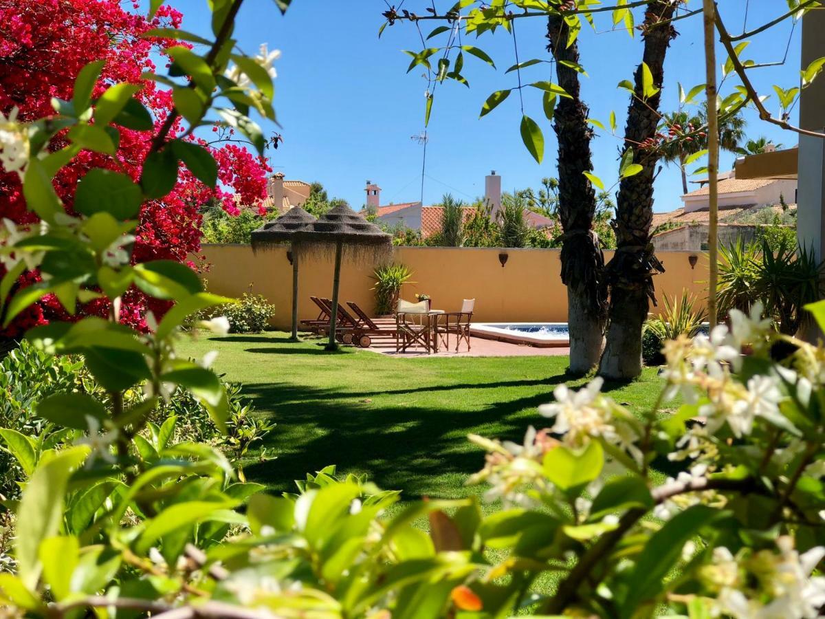***chalet Alicante*** Experiencia Unica Hébergement de vacances Alicante